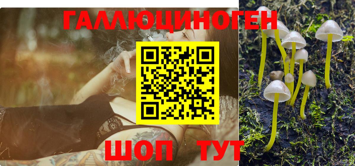 Галлюциногенные грибы мухоморы Владивосток