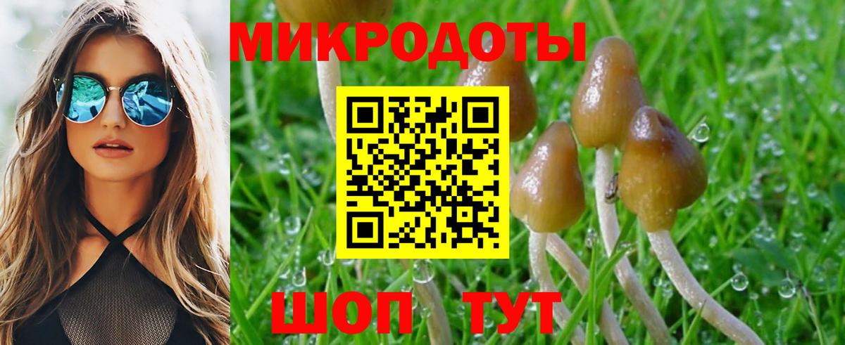 Галлюциногенные грибы Cubensis  где найти наркотики  Владивосток  Вход с VPN 